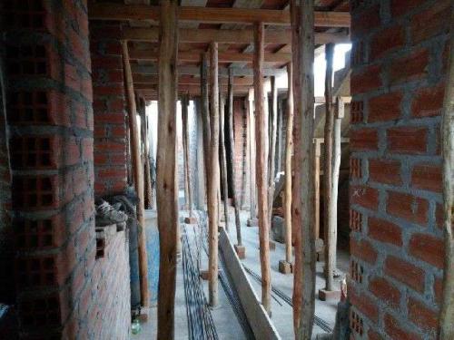 the 'trees' support the poured ceiling